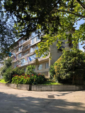 Квартира на Ардзинба
